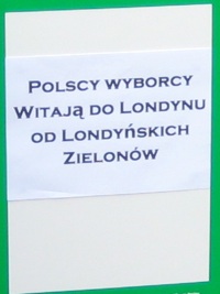 polscy wyborcy_small